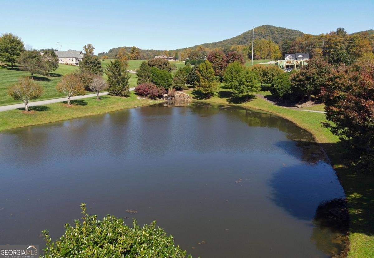 115 Richwood Trail Blairsville - Photo 65