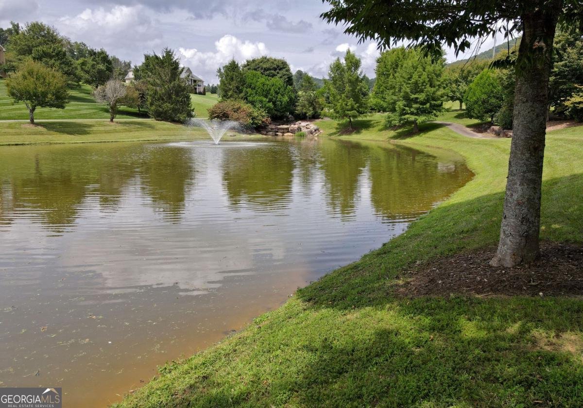 115 Richwood Trail Blairsville - Photo 66