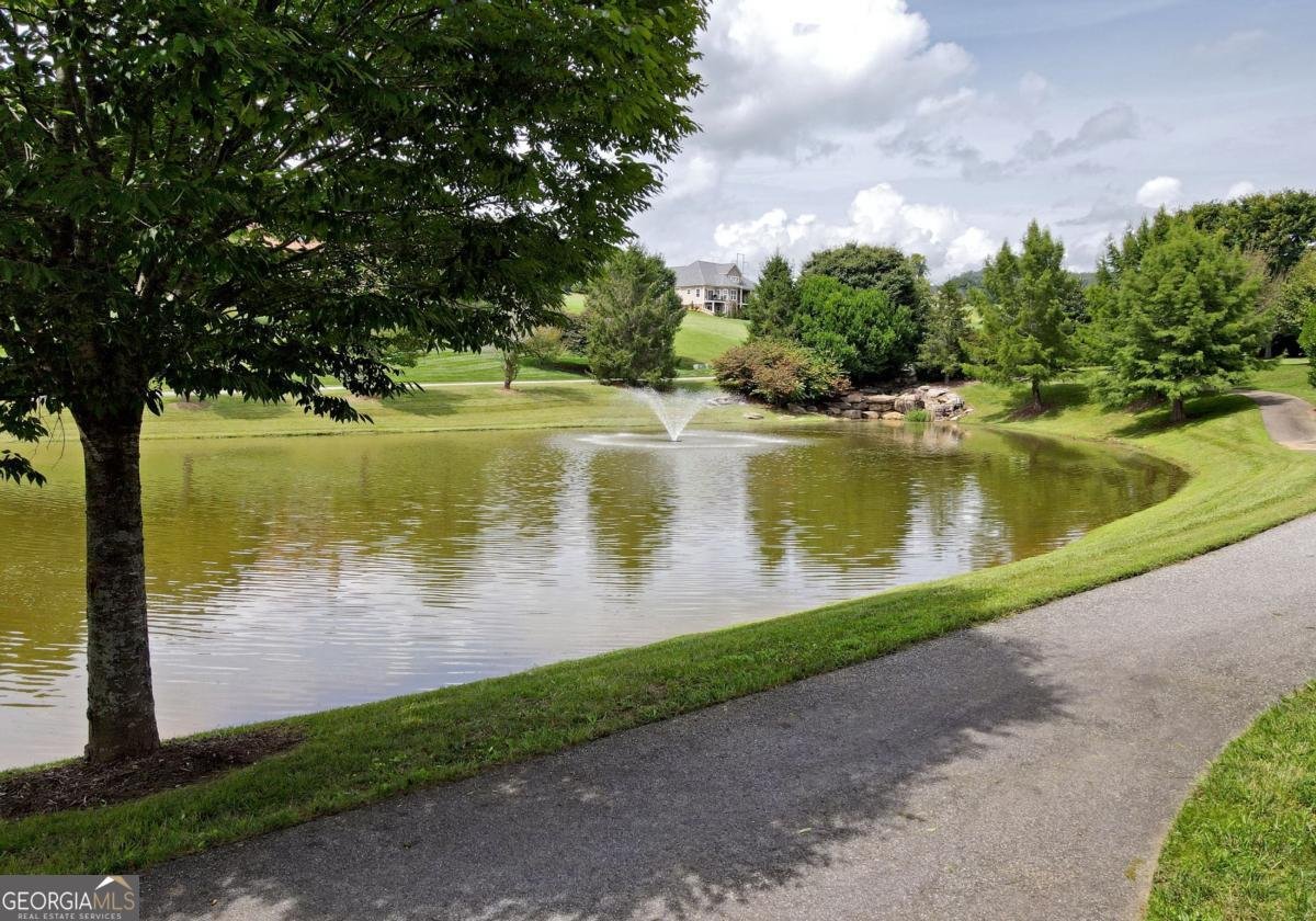 115 Richwood Trail Blairsville - Photo 67