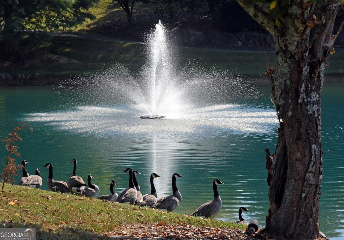 115 Richwood Trail Blairsville - Photo 69