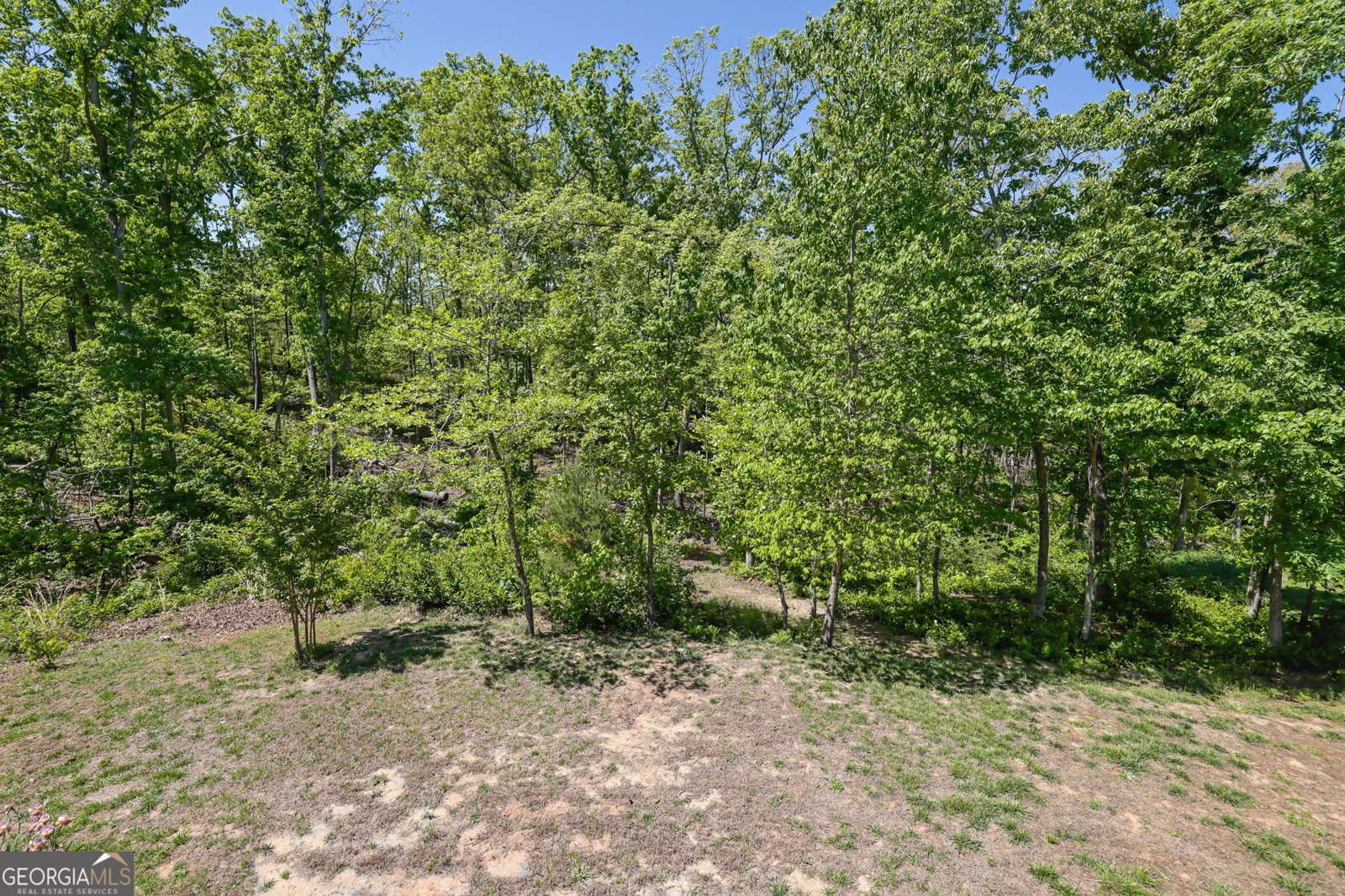 933 Whistler Lane Canton - Photo 36