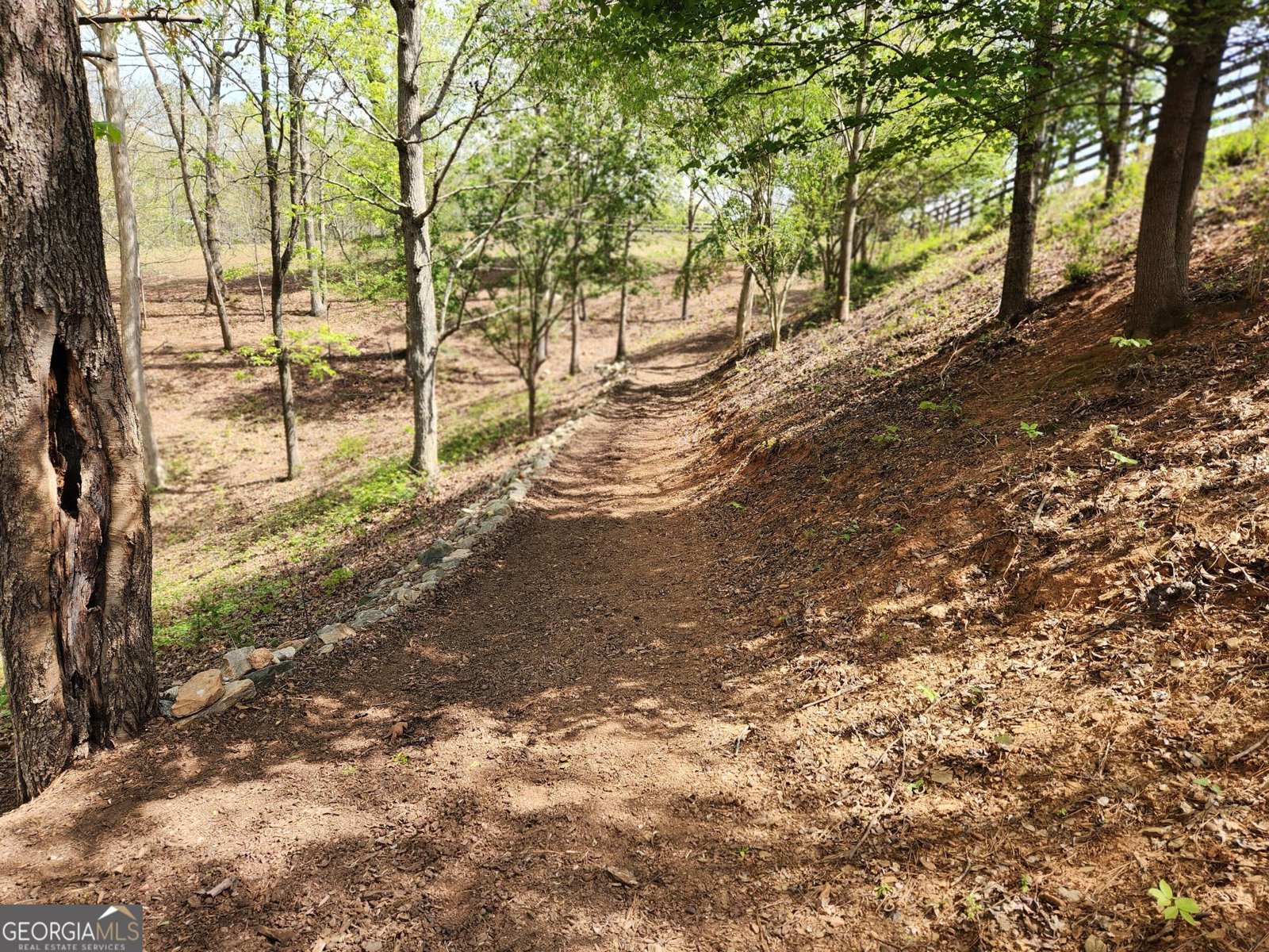 120 Grandview Drive Ball Ground - Photo 47