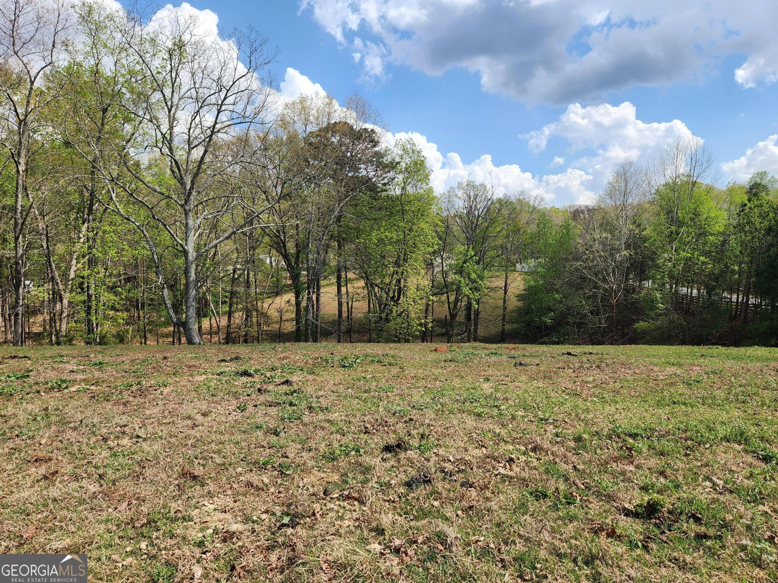 120 Grandview Drive Ball Ground - Photo 57