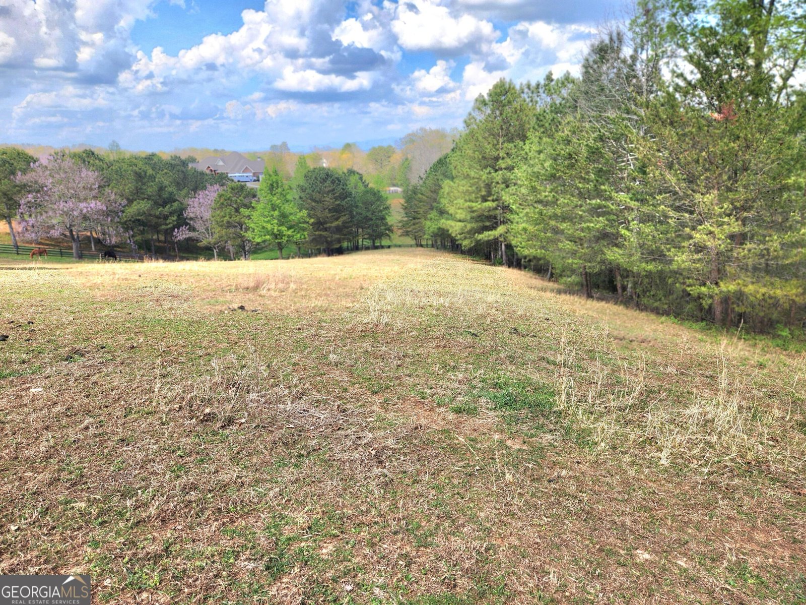 120 Grandview Drive Ball Ground - Photo 58