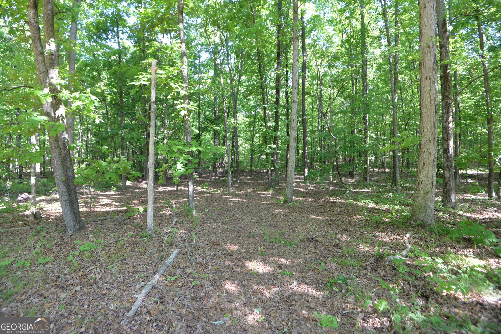 3478 Highway 81 Hampton - Photo 21