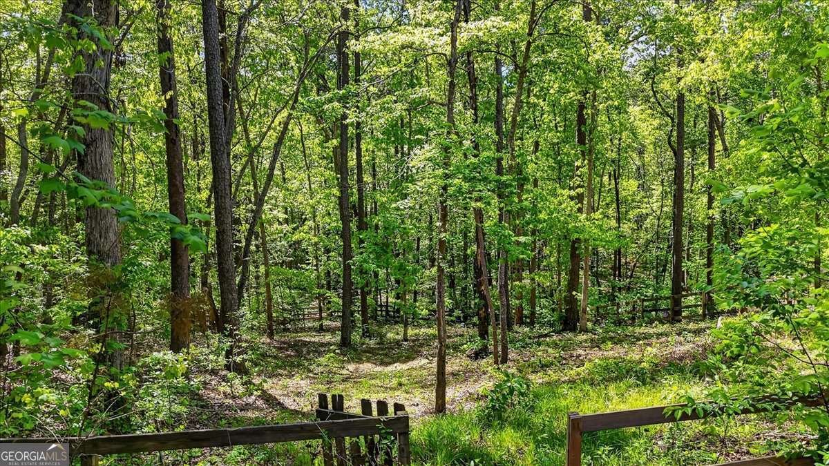 218 Spearfish Drive Canton - Photo 64