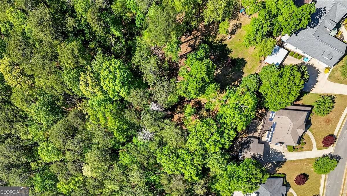 218 Spearfish Drive Canton - Photo 67