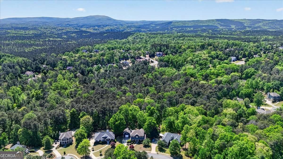 218 Spearfish Drive Canton - Photo 68