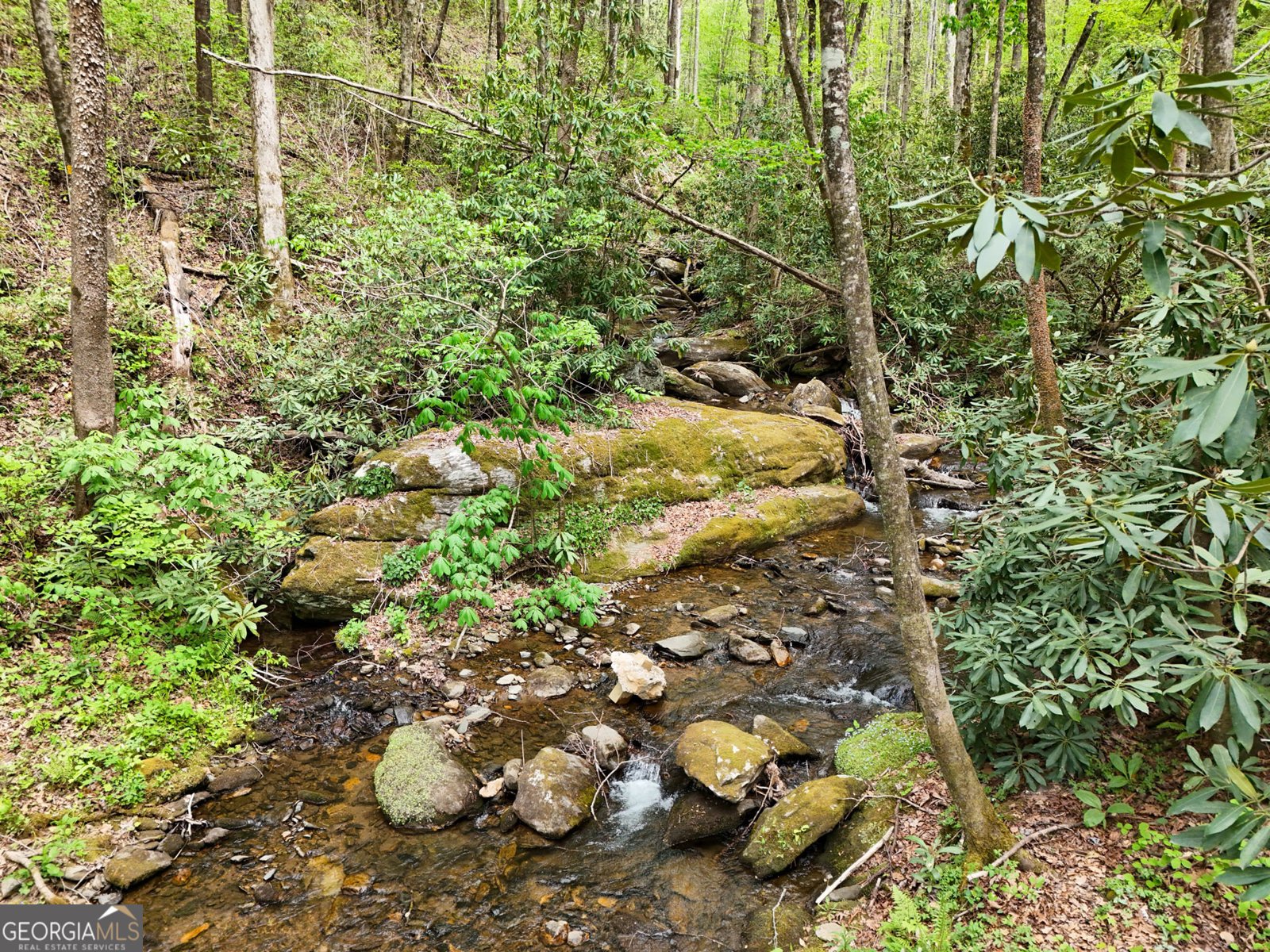 77 Denali Drive Clayton - Photo 12