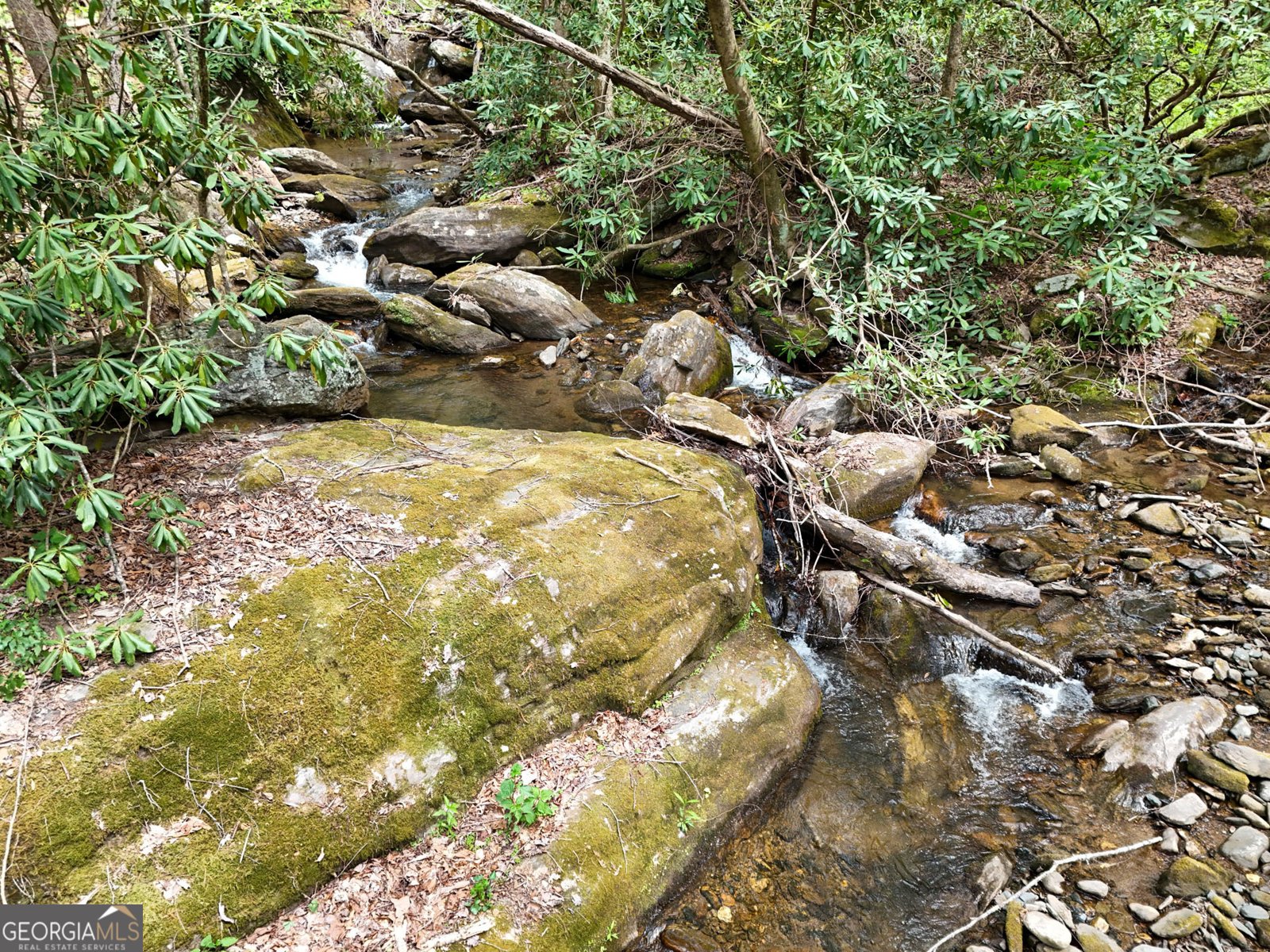 77 Denali Drive Clayton - Photo 13