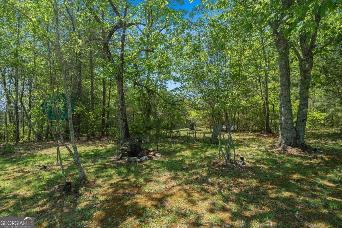 2383 Sperin Road Ball Ground - Photo 29