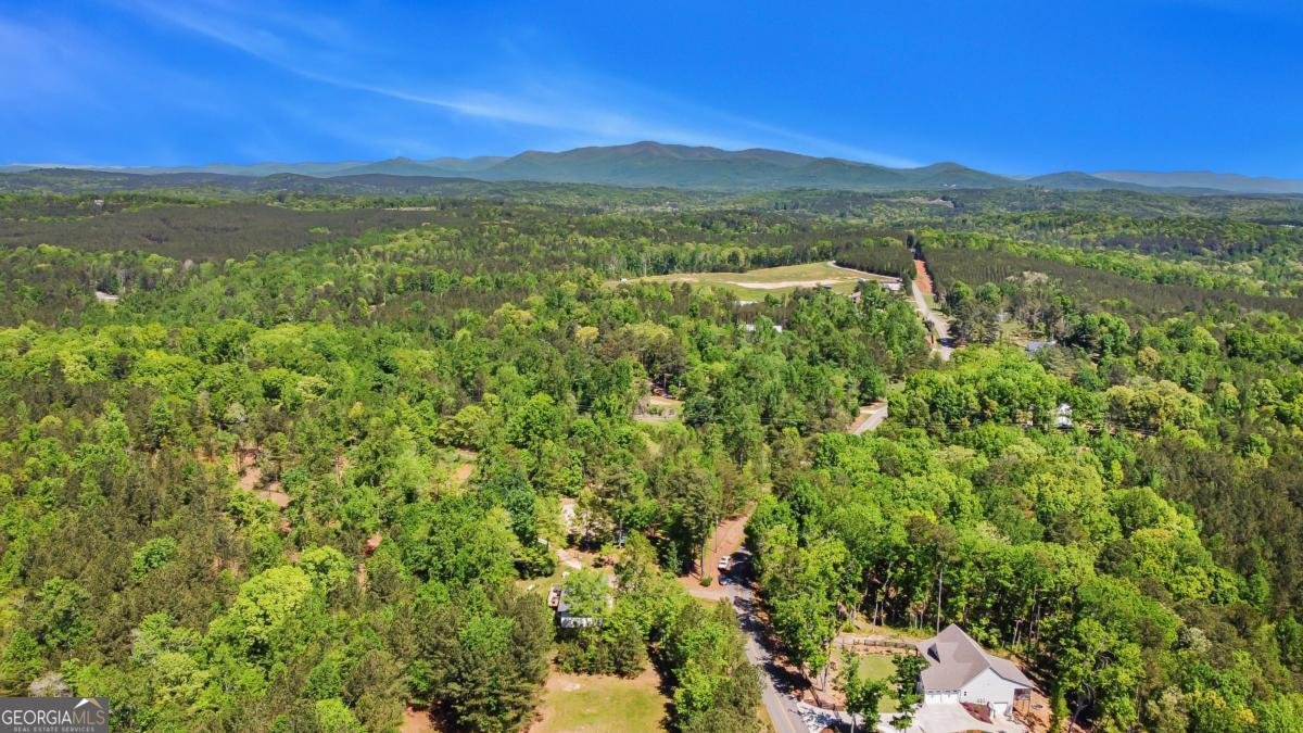 2383 Sperin Road Ball Ground - Photo 35