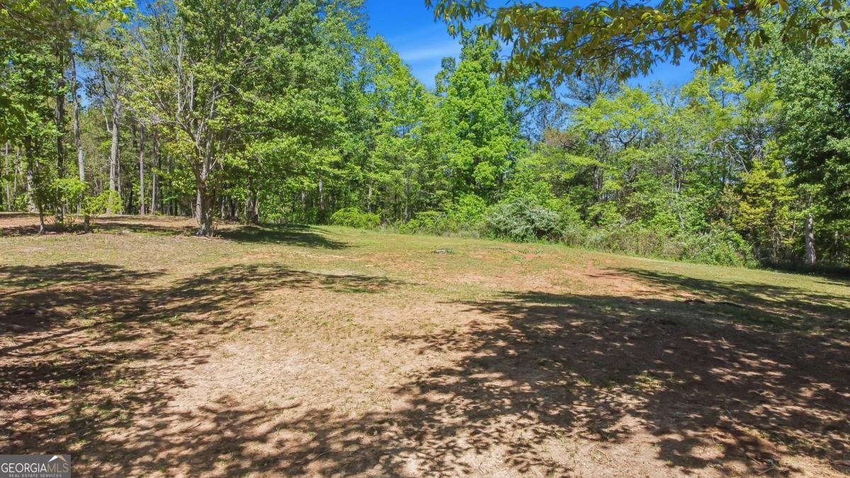 2383 Sperin Road Ball Ground - Photo 37