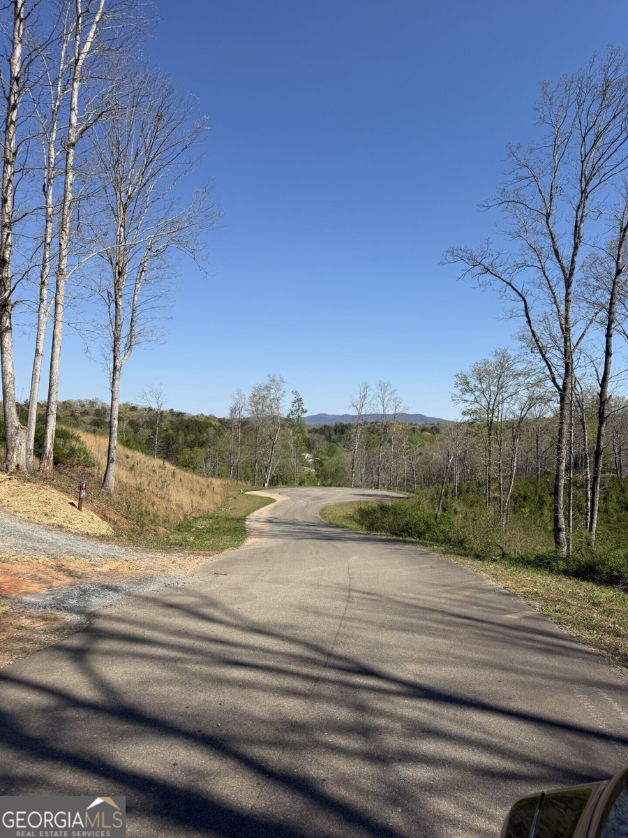 146 Mystic Drive Ellijay - Photo 6