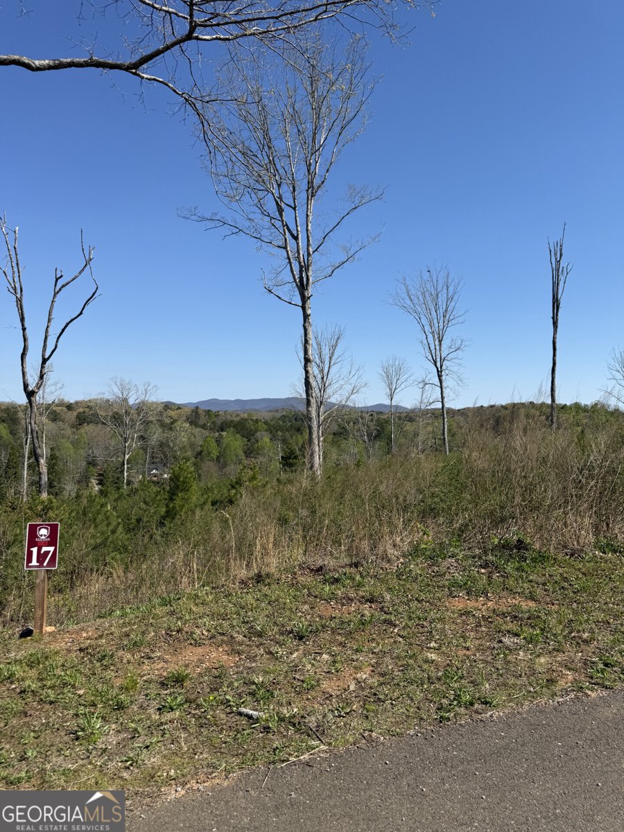 146 Mystic Drive Ellijay - Photo 7