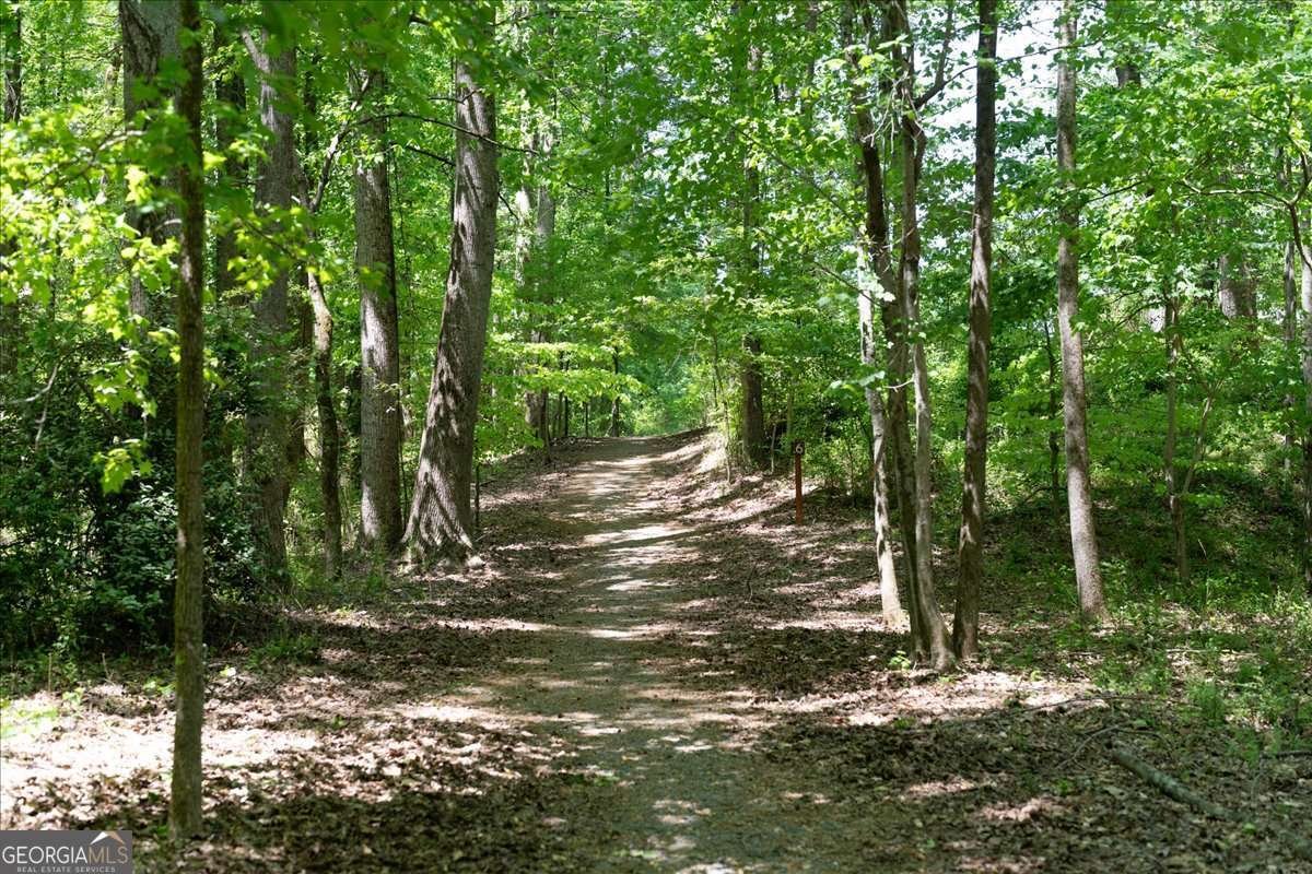 655 Fieldcrest Park Lane Alpharetta - Photo 76