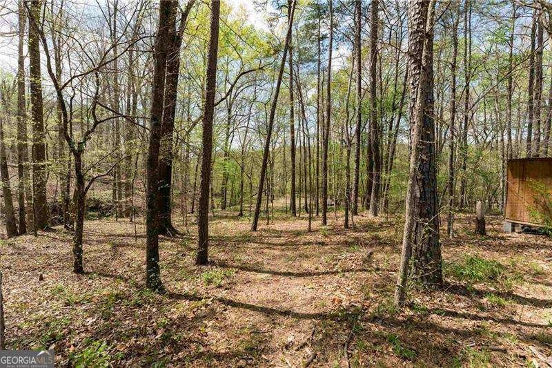 401 Blossom Trail Acworth - Photo 63