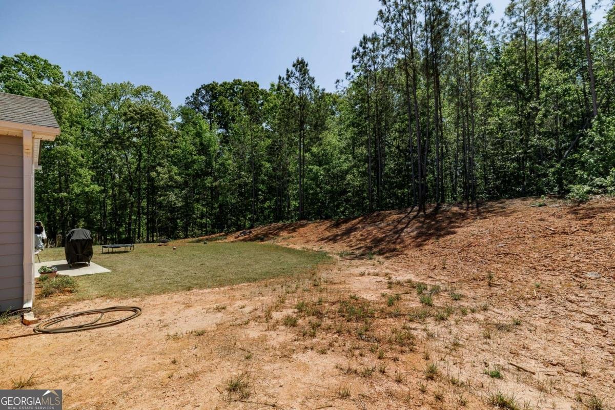 588 Scout Hut Lane Danielsville - Photo 35