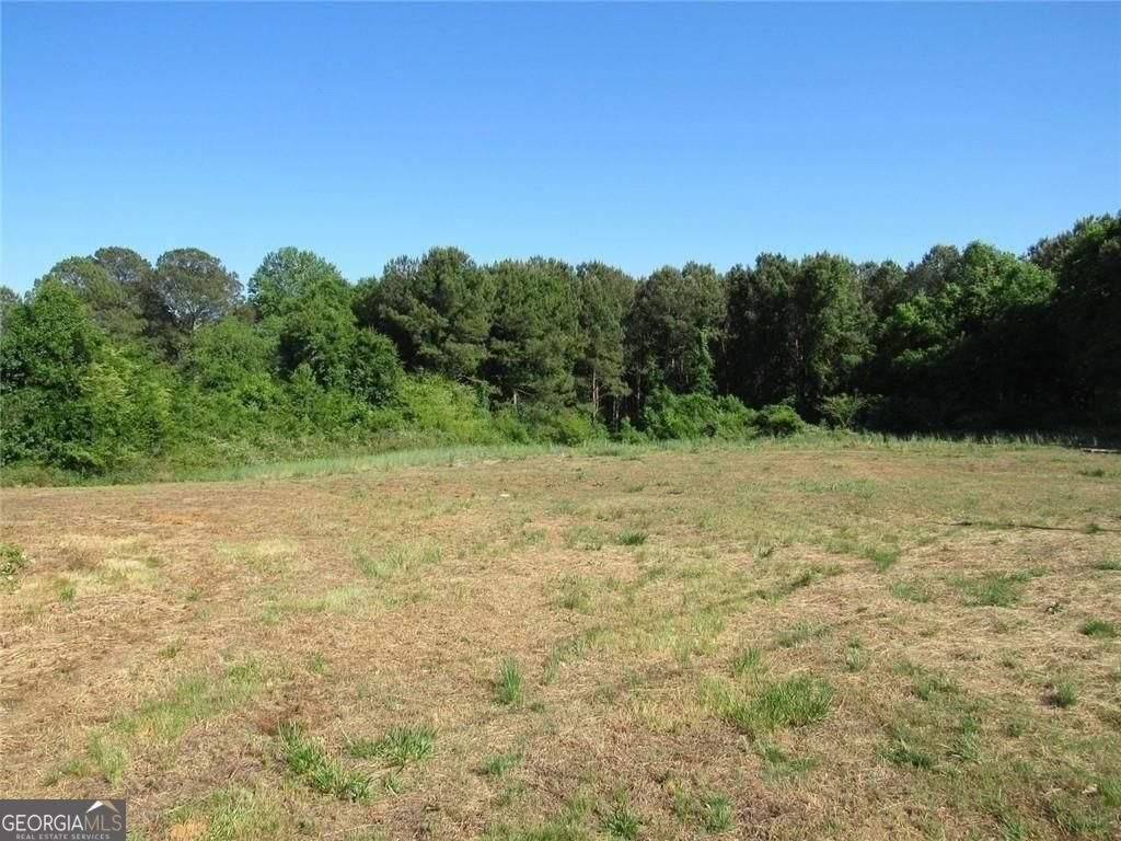 1460 Hwy 100 Bowdon - Photo 18