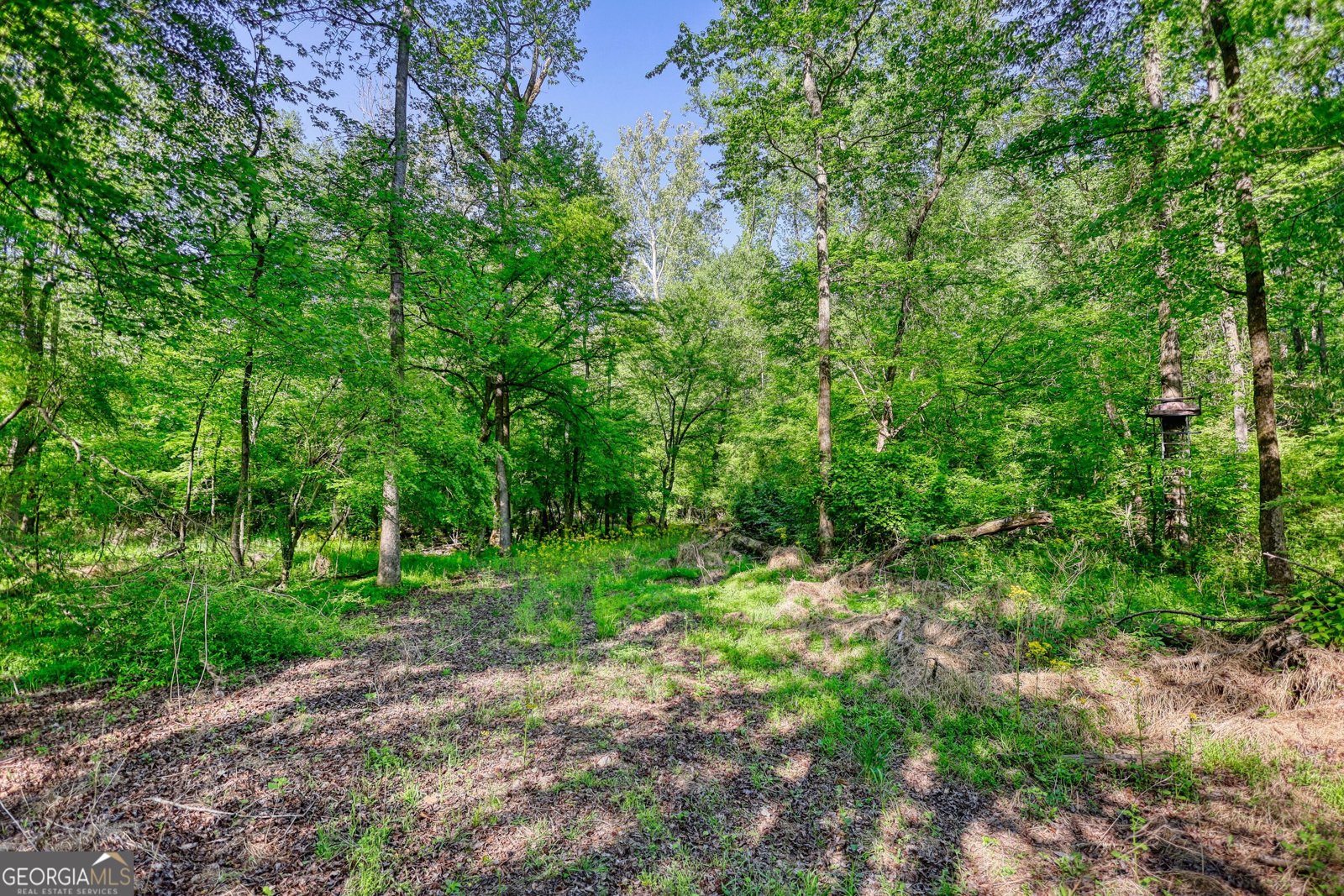 393 Edwards Road Oxford - Photo 106