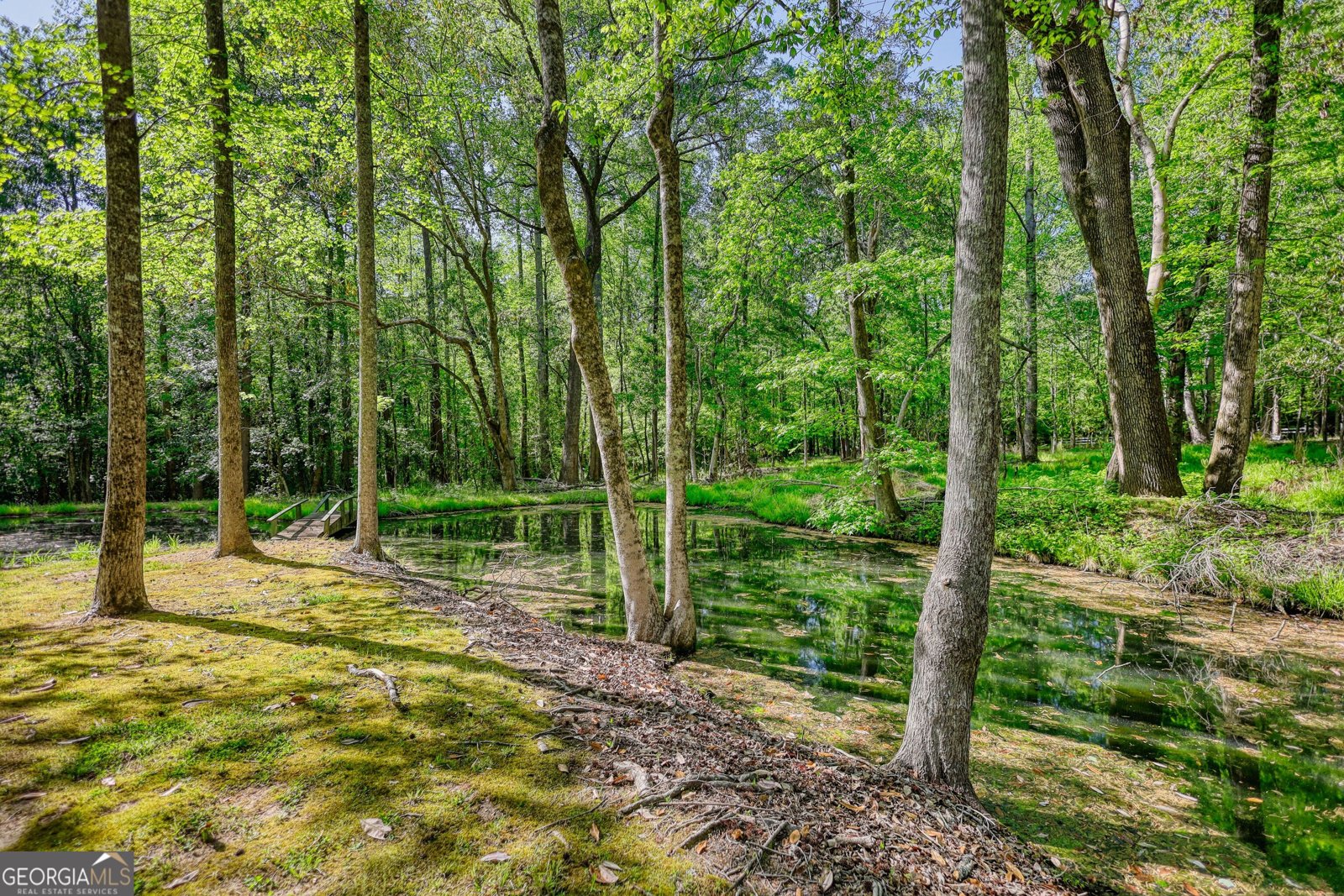 393 Edwards Road Oxford - Photo 77