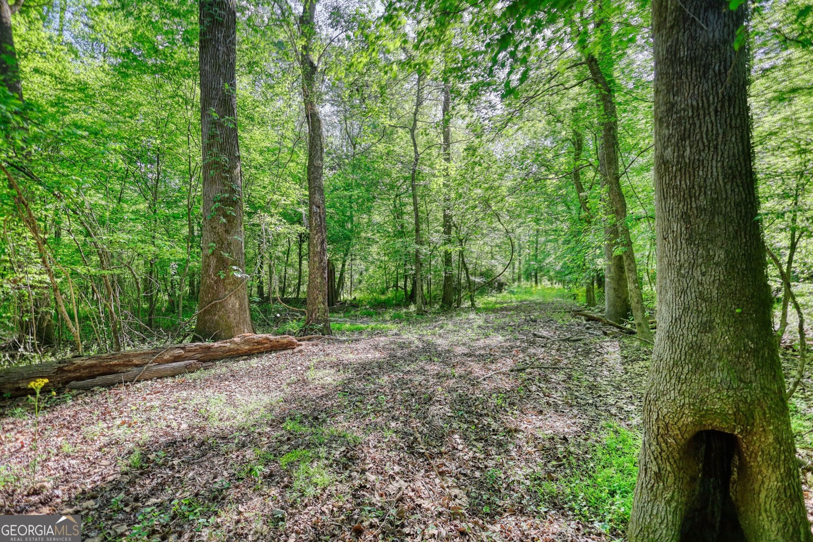 393 Edwards Road Oxford - Photo 89