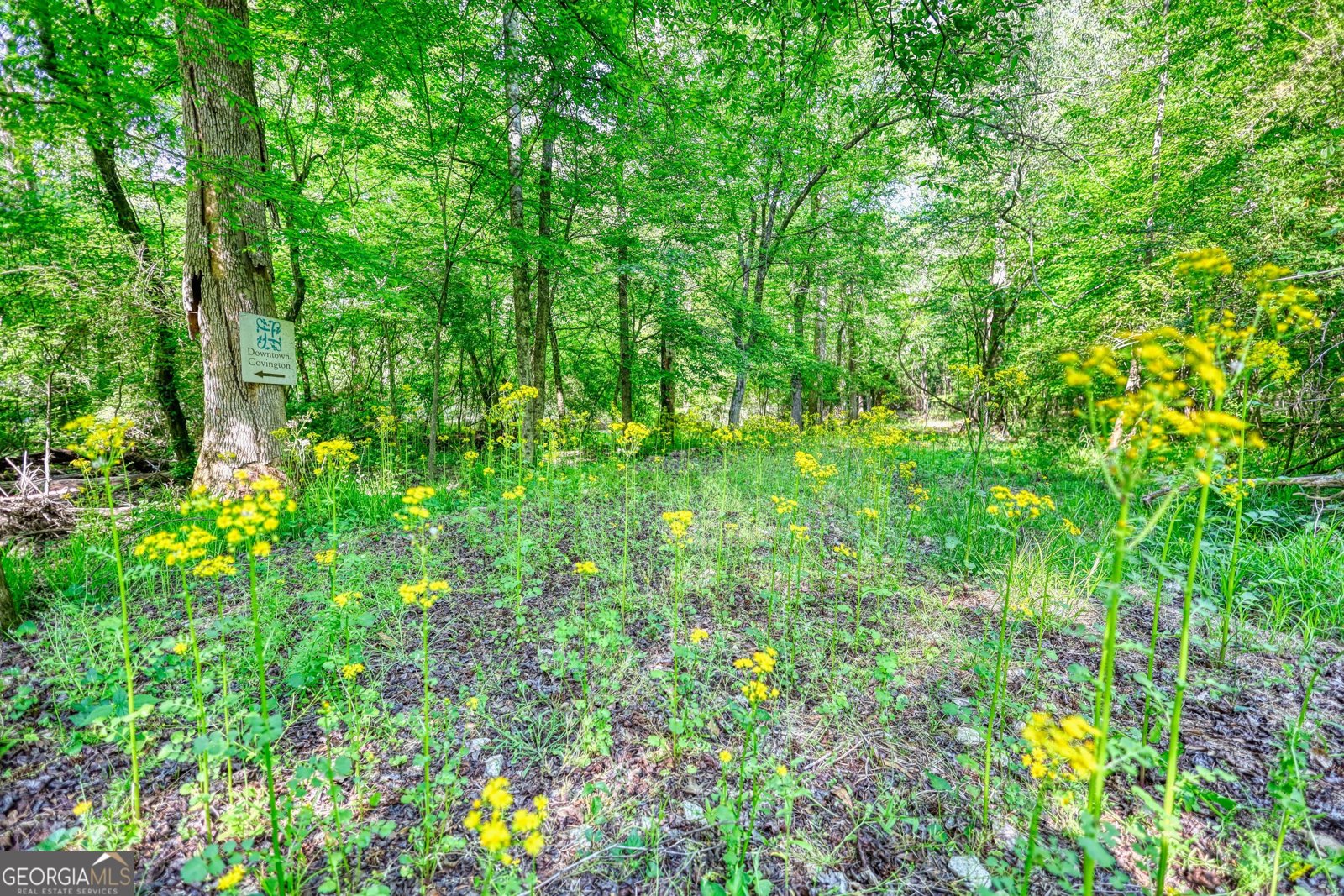 393 Edwards Road Oxford - Photo 97