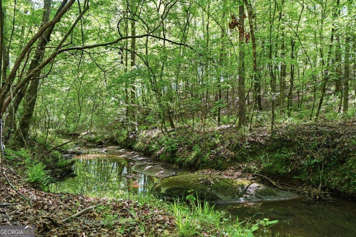 314 Coady Road Jackson - Photo 30