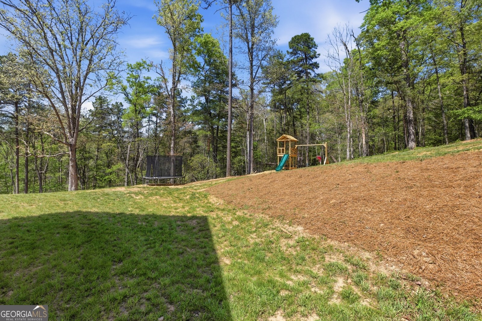 1655 Pardue Mill Road Demorest - Photo 20