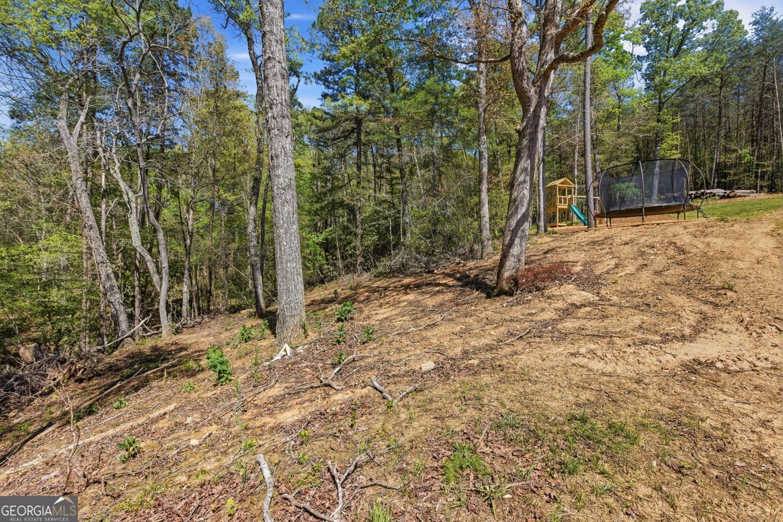 1655 Pardue Mill Road Demorest - Photo 48
