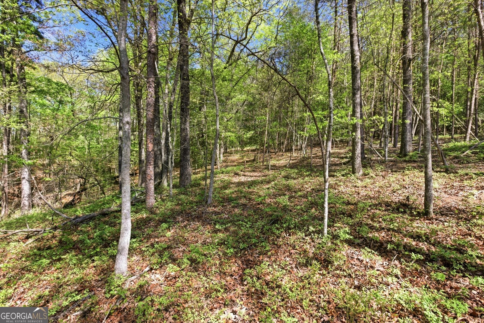 1655 Pardue Mill Road Demorest - Photo 49