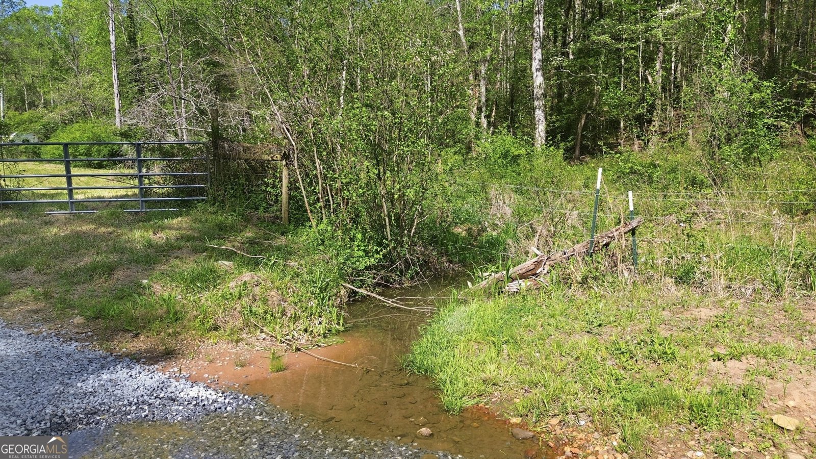 1655 Pardue Mill Road Demorest - Photo 55