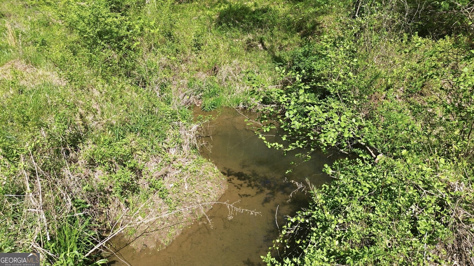 1655 Pardue Mill Road Demorest - Photo 56