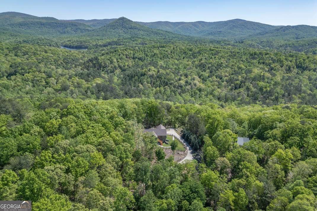 475 Tater Tot Road Jasper - Photo 76