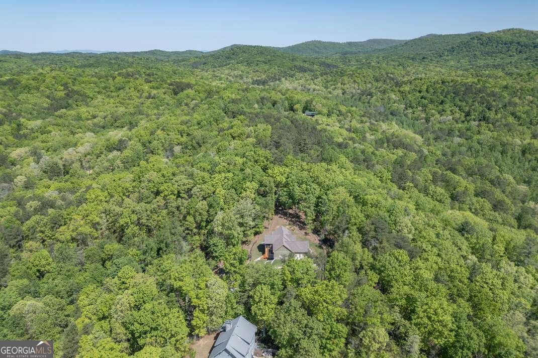 475 Tater Tot Road Jasper - Photo 78