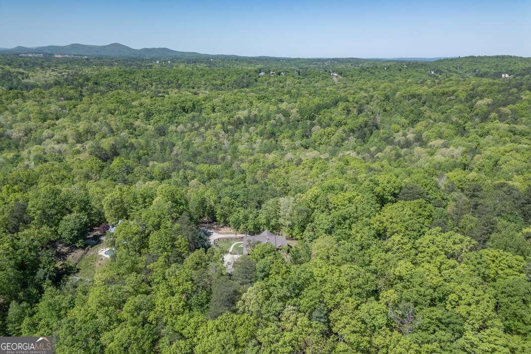 475 Tater Tot Road Jasper - Photo 79