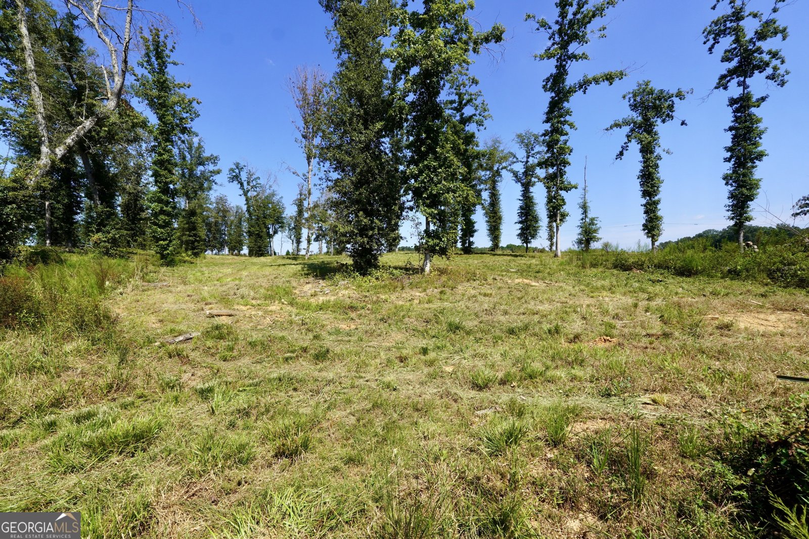 0 Walters Road Barnesville - Photo 6