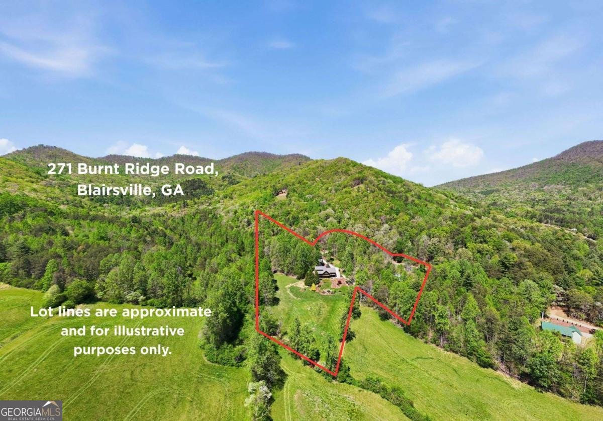 271 Burnt Ridge Road Blairsville - Photo 1