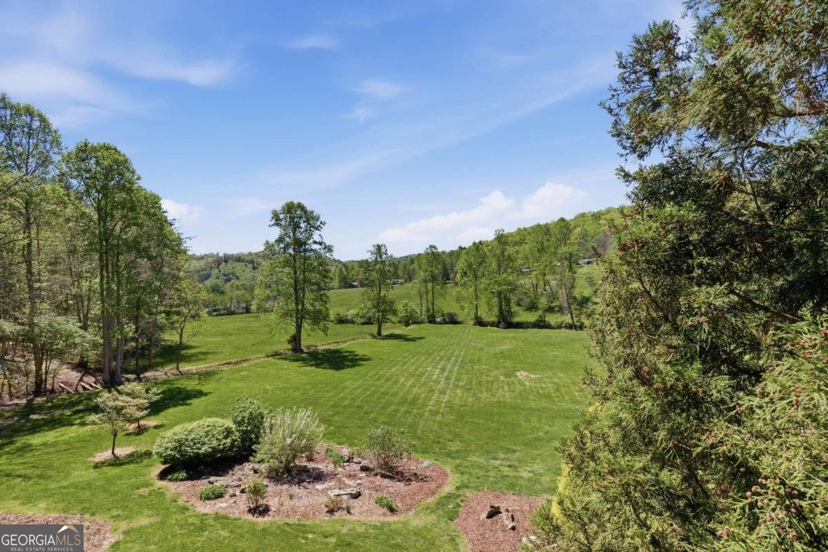 271 Burnt Ridge Road Blairsville - Photo 45