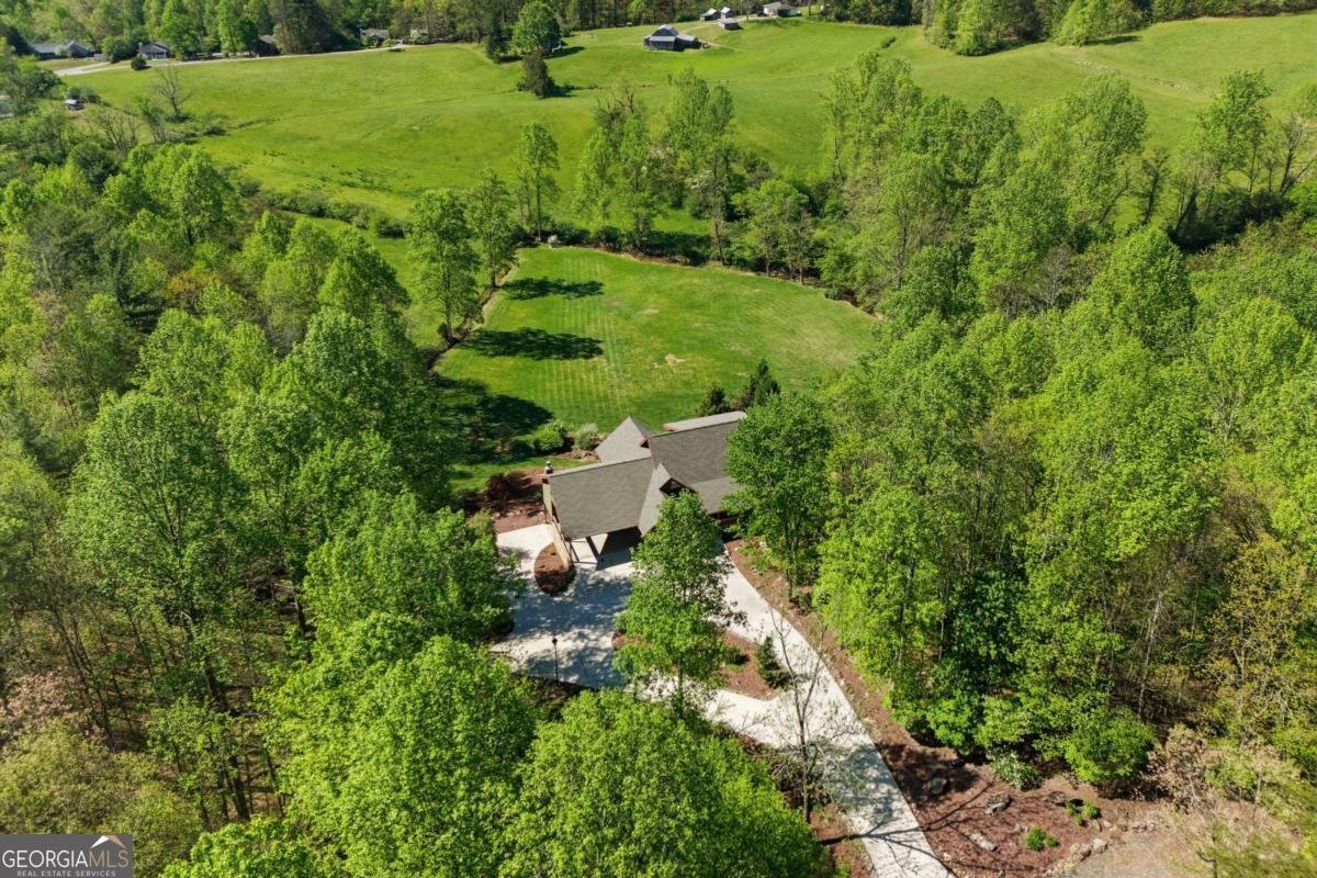 271 Burnt Ridge Road Blairsville - Photo 6