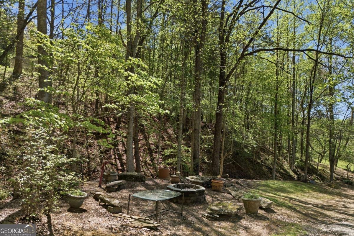 271 Burnt Ridge Road Blairsville - Photo 67