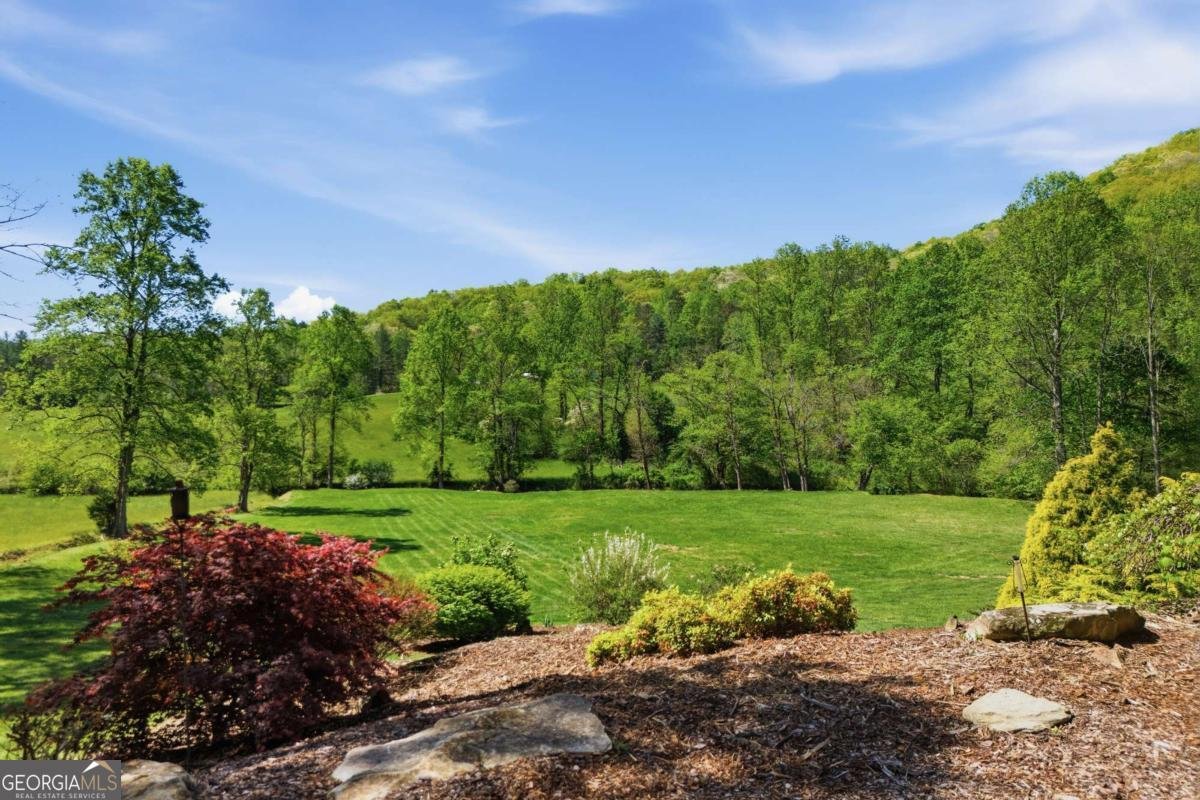 271 Burnt Ridge Road Blairsville - Photo 7