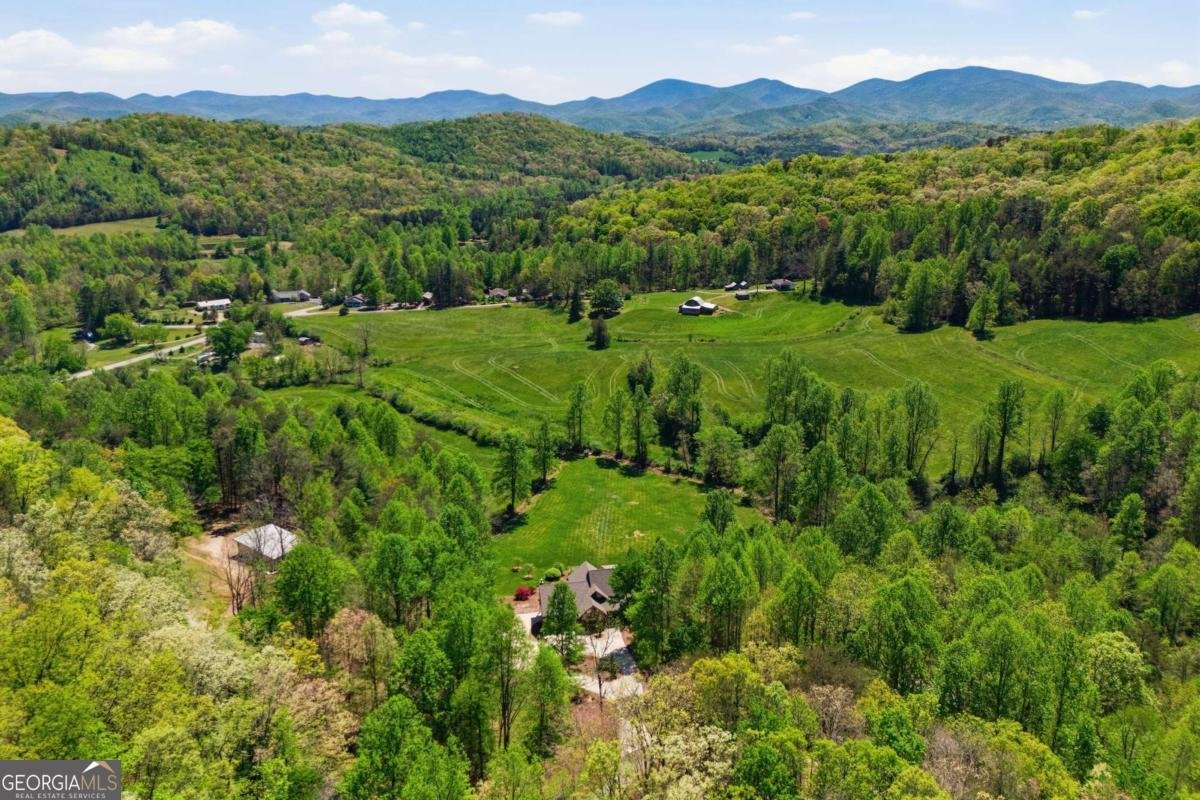 271 Burnt Ridge Road Blairsville - Photo 70