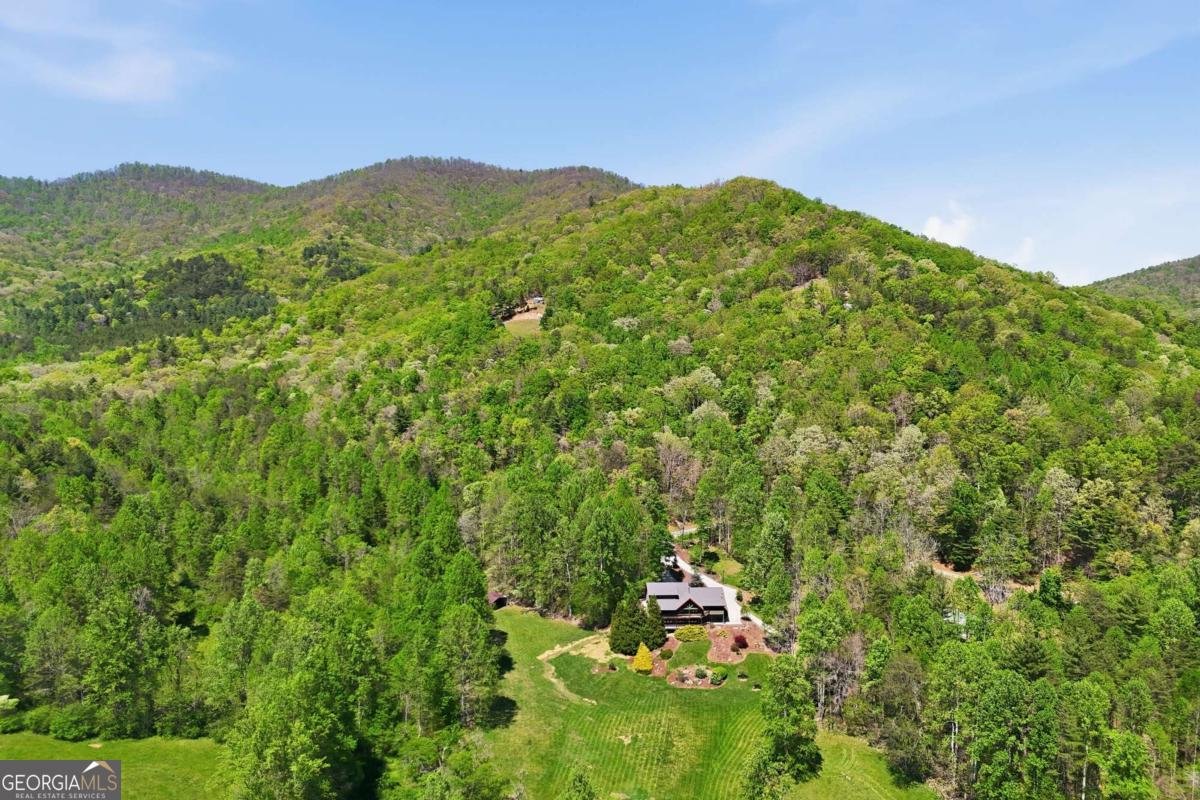 271 Burnt Ridge Road Blairsville - Photo 71