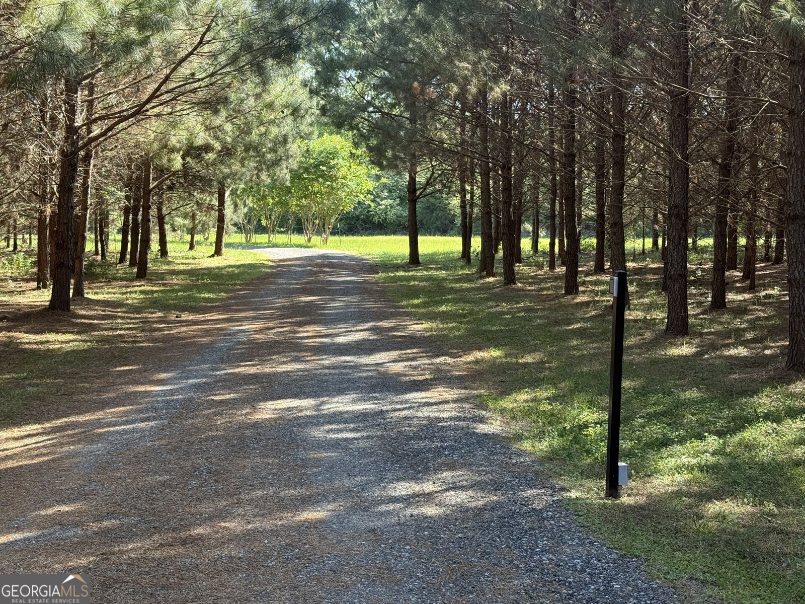 3256 Chalybeate Springs Road Woodland - Photo 6