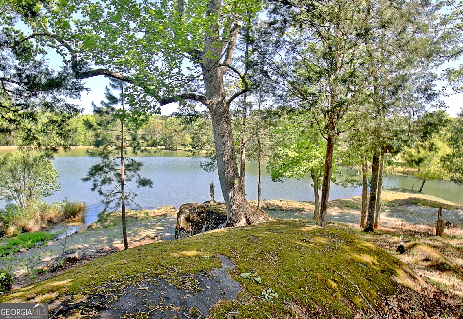 3256 Chalybeate Springs Road Woodland - Photo 63