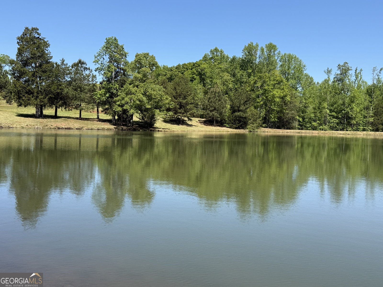 3256 Chalybeate Springs Road Woodland - Photo 64