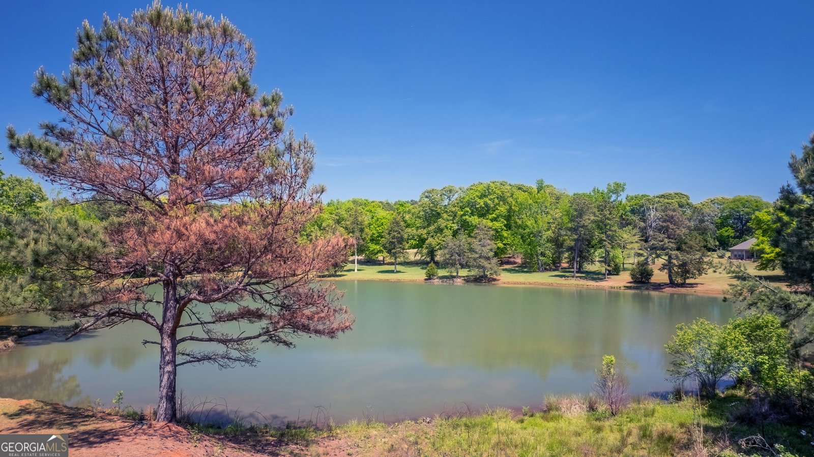 3256 Chalybeate Springs Road Woodland - Photo 67