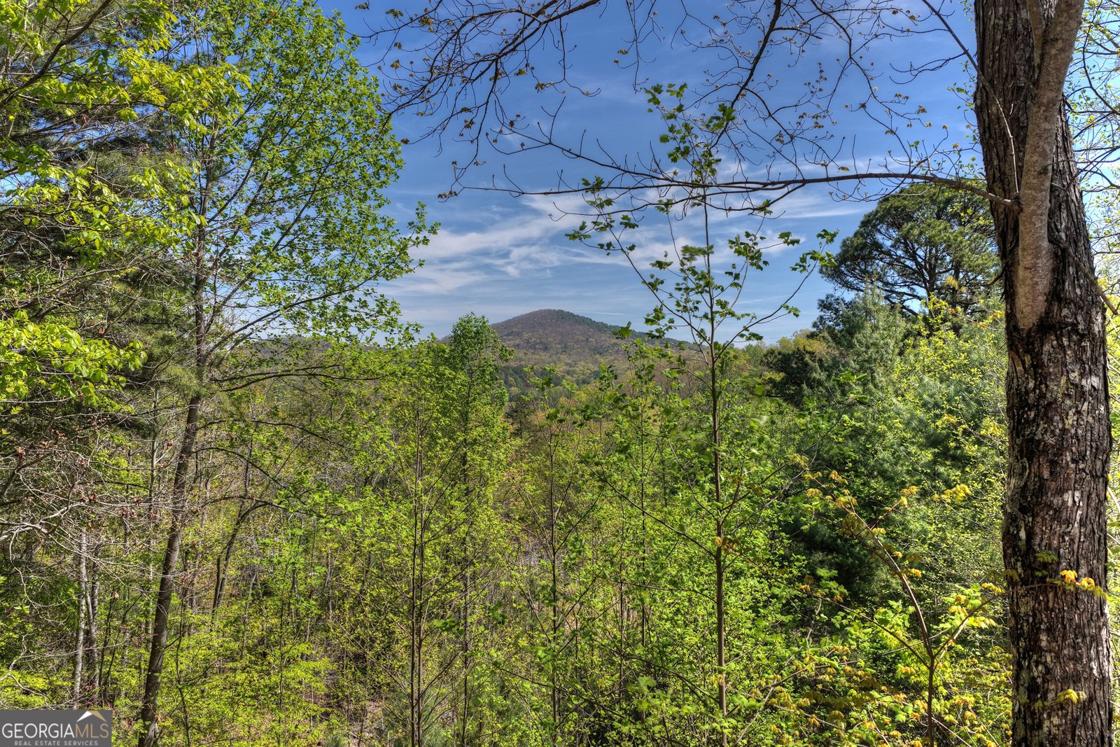 305 Kimbolton Drive Morganton - Photo 34