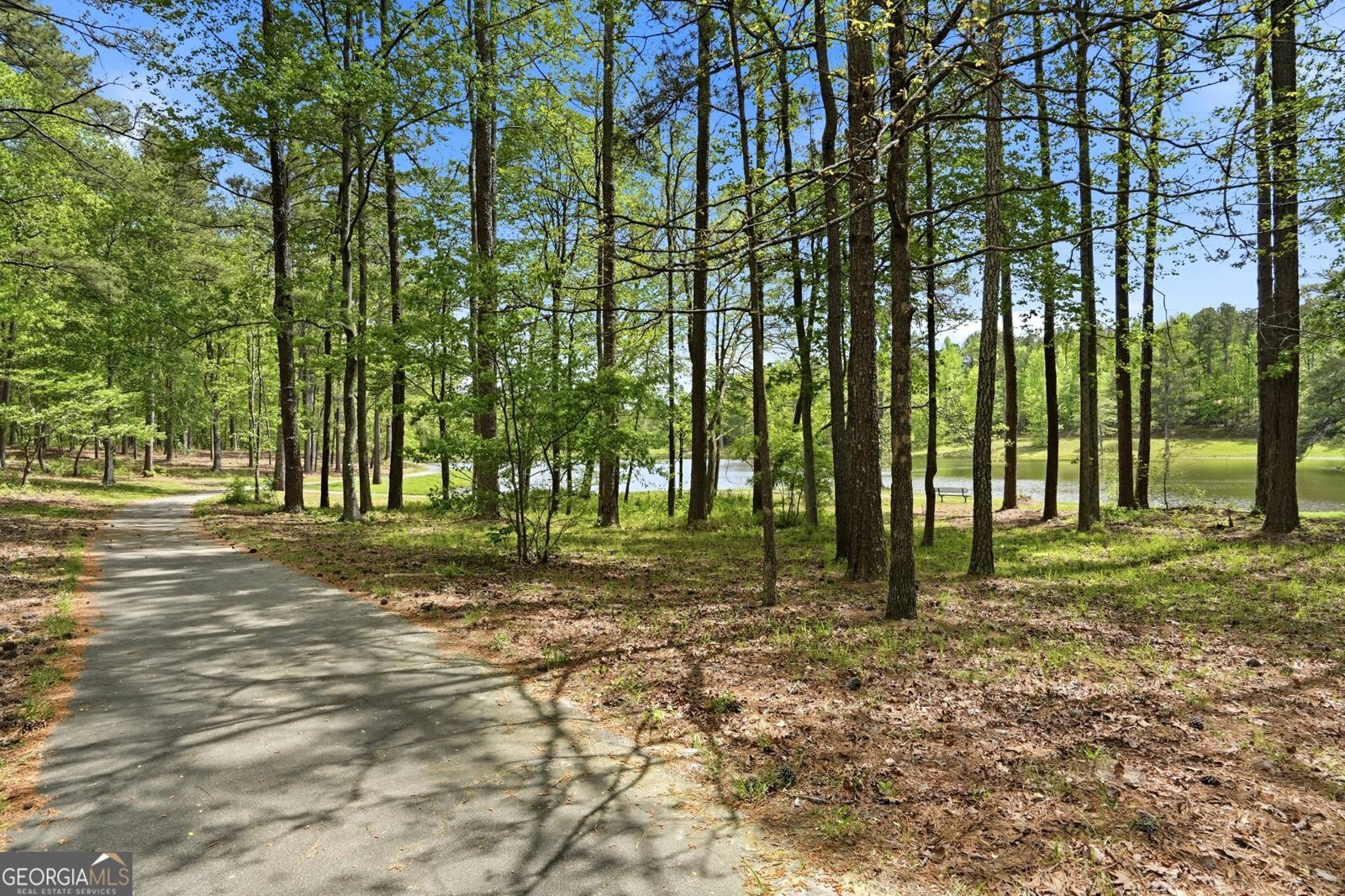 8340 Nolandwood Lane Villa Rica - Photo 43